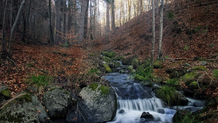 Lesy ČR zvýší investice do vodních staveb, fotolia.com © pemaphoto Lesy ČR zvýší investice do vodních staveb o 66 pct na 200 mil. Kč