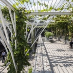 Uprostřed přelidněného města vytvořili bydlení plné zeleně. Inspirují i okolí Foto: Hiroyuki Oki
