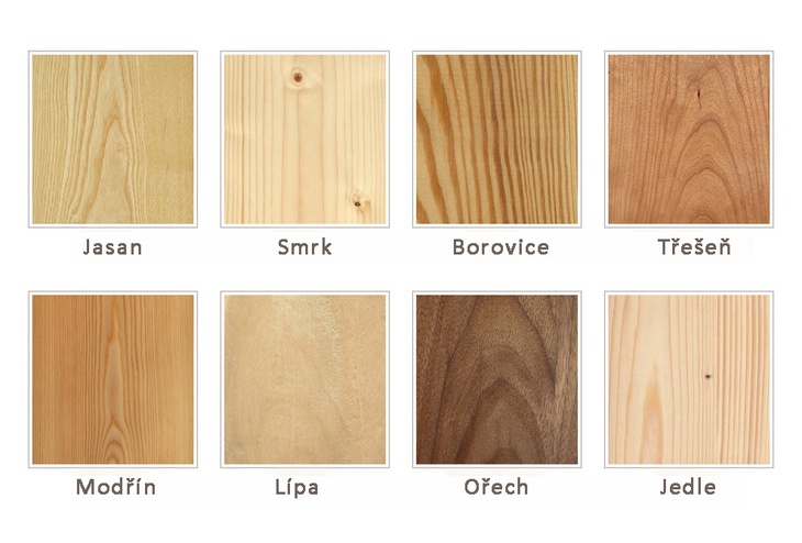 Porovnání kreseb různých dřevin.