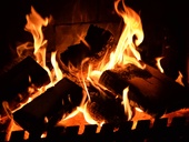© Fotolia.com - Julie