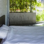 Dům jako džungle bambusů: Minimální prostor, maximum zeleně  Foto:  Hiroyuki Oki