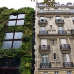 Vertikální zahrada od Patrika Blanca na fasádě muzea v Paříži od architekta Jeana Nouvela