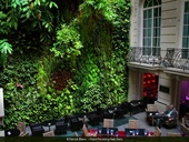 Hotel Pershing Hall Paris Zdroj: www.verticalgardenpatrickblanc.com © Véronique Lalot