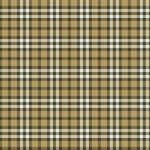 Klasický Burberry vzor povýšený na luxusní prvek. Tradice je rovněž klíčovým slovem pro prvek země. Vzor kostky skrývá jednoduchý princip – všechny strany jsou stejně dlouhé, vytváří v nás pocit, že vše plyne s jistou pravidelností. Zdroj: Fotolia.com - Glaser
