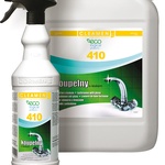ECO 410
