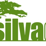 Logo silvadec