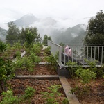 Zdroj: Rural Urban Framework (RUF)