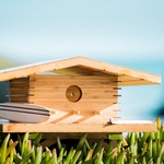 Kauai Zdroj: Sourgrasbuilt.com