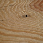 Obr. 5b Poškození dřeva našimi nejběžnějšími škůdci červotoči s kruhovými výletovými otvory o průměru cca 1-2 mm (Foto Pánek).