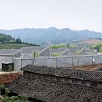 Architektonicky zdařilou továrnu na zpracování bambusu postavili z betonu Foto:  Su Shengliang