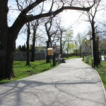 Příkladem realizace drenážního betonu je městský park Gaštanica v Bratislavě