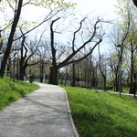 Příkladem realizace drenážního betonu je městský park Gaštanica v Bratislavě