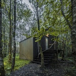 Sauna ukrytá v  lese, foto: João Guimarães
