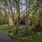 Sauna ukrytá v  lese, foto: João Guimarães