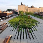 Zdroj: NYC Parks