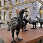  Vidím tě… Foto: ing. arch. Petr Brandejský