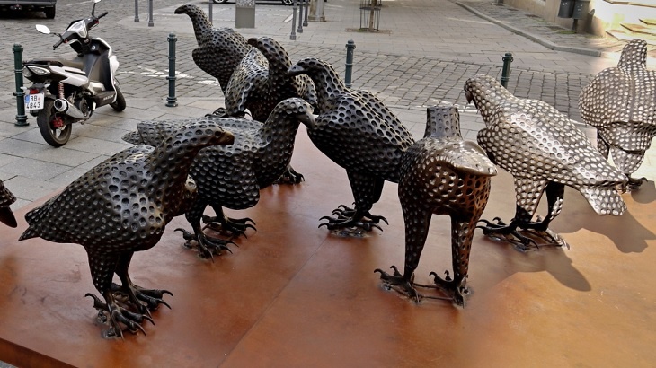 Šilingrovo náměstí v Brně napadlo hejno ptáků