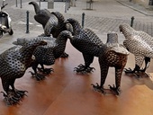 Šilingrovo náměstí v Brně napadlo hejno ptáků