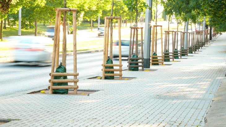 Treegator - Zdroj: obchod.zavlazovacivaky.cz