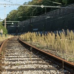 Část procházky vedla také po nepoužívané koleji, kde bývalou železniční zastávku připomíná dřevěná instalace. Zdroj: DA Karlín