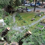 Mečislavova