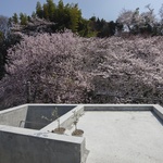 Na malém pozemku ve velkém městě vytvořili pohodlný rodinný dům se zahradou na střeše. Foto: Tsukui Teruaki 