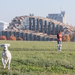 Šedivé sídliště proměnili v luxusní bydlení. Mají dřevěné fasády a zahrady na střechách Foto: Laurian Ghinitoiu 