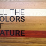 Dřevo může nést všechny barvy přírody