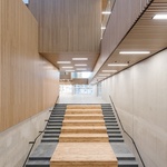 Dřevěný klenot z Dánské technické univerzity sjednotil vědecké obory pod jednu střechu Foto:  Adam Mørk