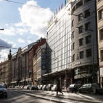 Bílá labuť, foto: Tomáš Kovařík