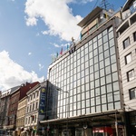 Bílá labuť, foto: Tomáš Kovařík