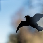 Zdroj: AdobeStock