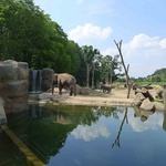 ZOO Praha