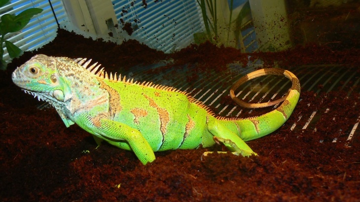 Topné fólie Fenix - výherce prázdninové soutěže už si užívá teplou podlahu Topné fólie Fenix - výherce prázdninové soutěže už si užívá teplou podlahu