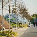 Pozdrav z budoucnosti: Pavilony, které nestavěli lidé ale stroje Foto:  ICD-ITKE, Roland Halbe, BUGA