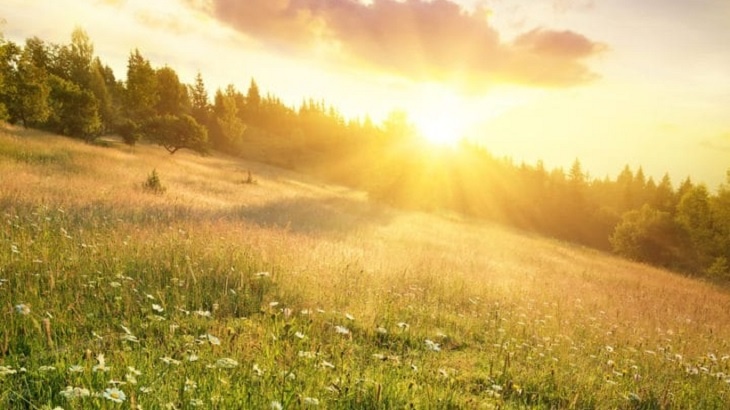 Nechte svou chalupu vydělávat – pořiďte jí střešní fotovoltaiku!