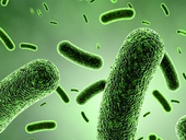 Chlordioxid – jak funguje, jak se vyrábí a jak působí proti bakteriím včetně legionelly