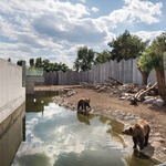 Země medvědů a vlků. Pavilon zoologické zahrady navržený pro symbiózu zvířat a lidí Foto: Ivan Avdeenko