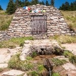 Kralický sněžník Zdroj: AdobeStock