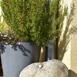 V jednoduchosti je krása - kámen může být použitý i jako dekorační prvek na terase
