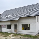 Banov