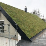 Ecosedum: dokonalé řešení zelené střechy