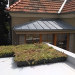 Ecosedum: dokonalé řešení zelené střechy