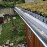 Ecosedum: dokonalé řešení zelené střechy