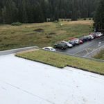 Ecosedum: dokonalé řešení zelené střechy