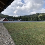 Ecosedum: dokonalé řešení zelené střechy