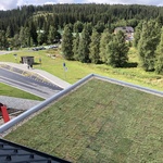 Ecosedum: dokonalé řešení zelené střechy