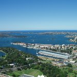 Výhled ze Sydney Tower
