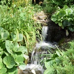 Tekoucí voda do zahrady vnese zvuk a dynamiku. Často se kombinuje s klidnou vodní hladinou jezírka, které potůček prakticky okysličuje. Foto: Ing. Lucie Peukertová