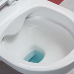 Lyra Plus